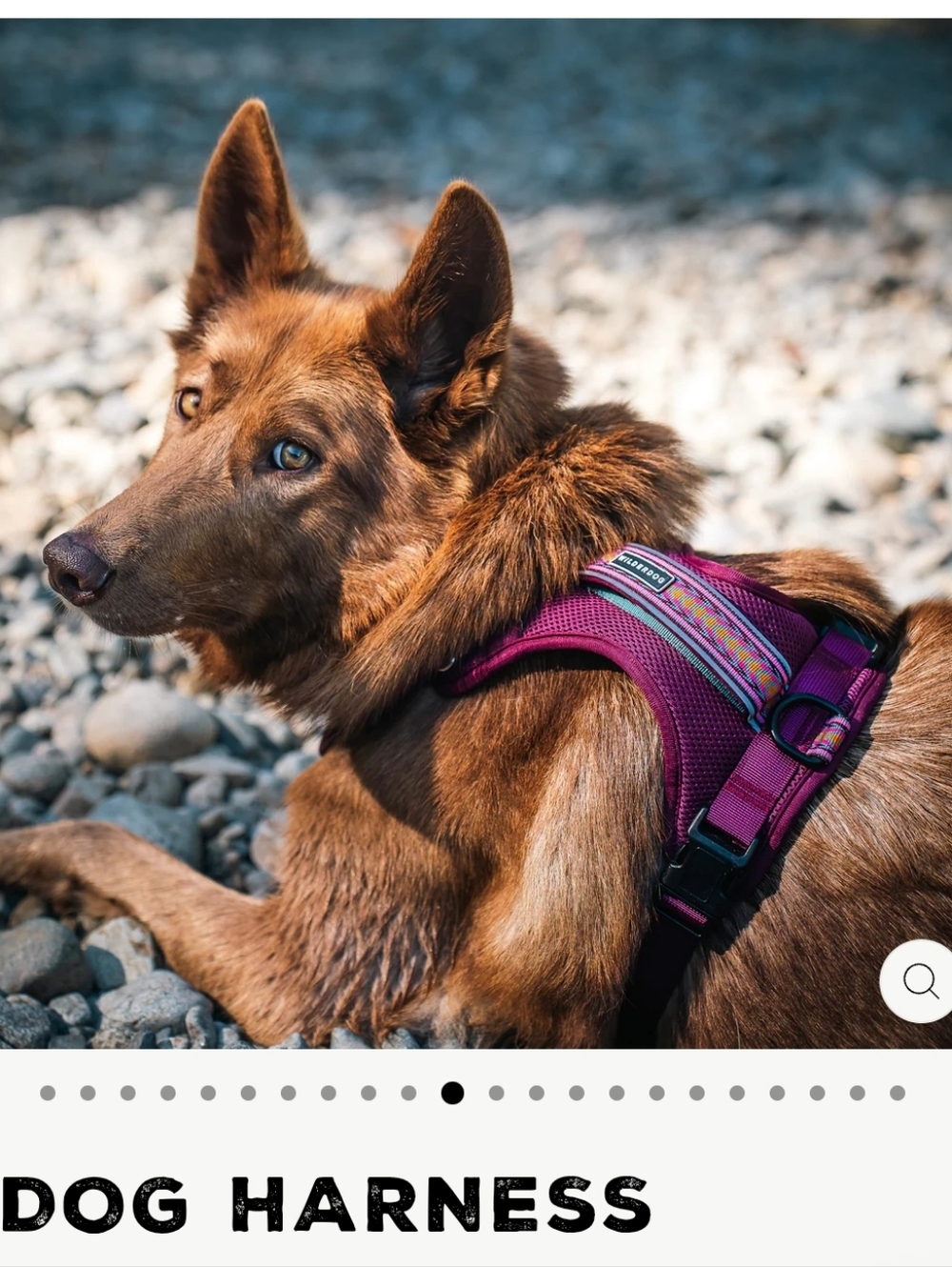 Wilderdog Mesh Handle Dog Harness Huckleberry Maroon Medium